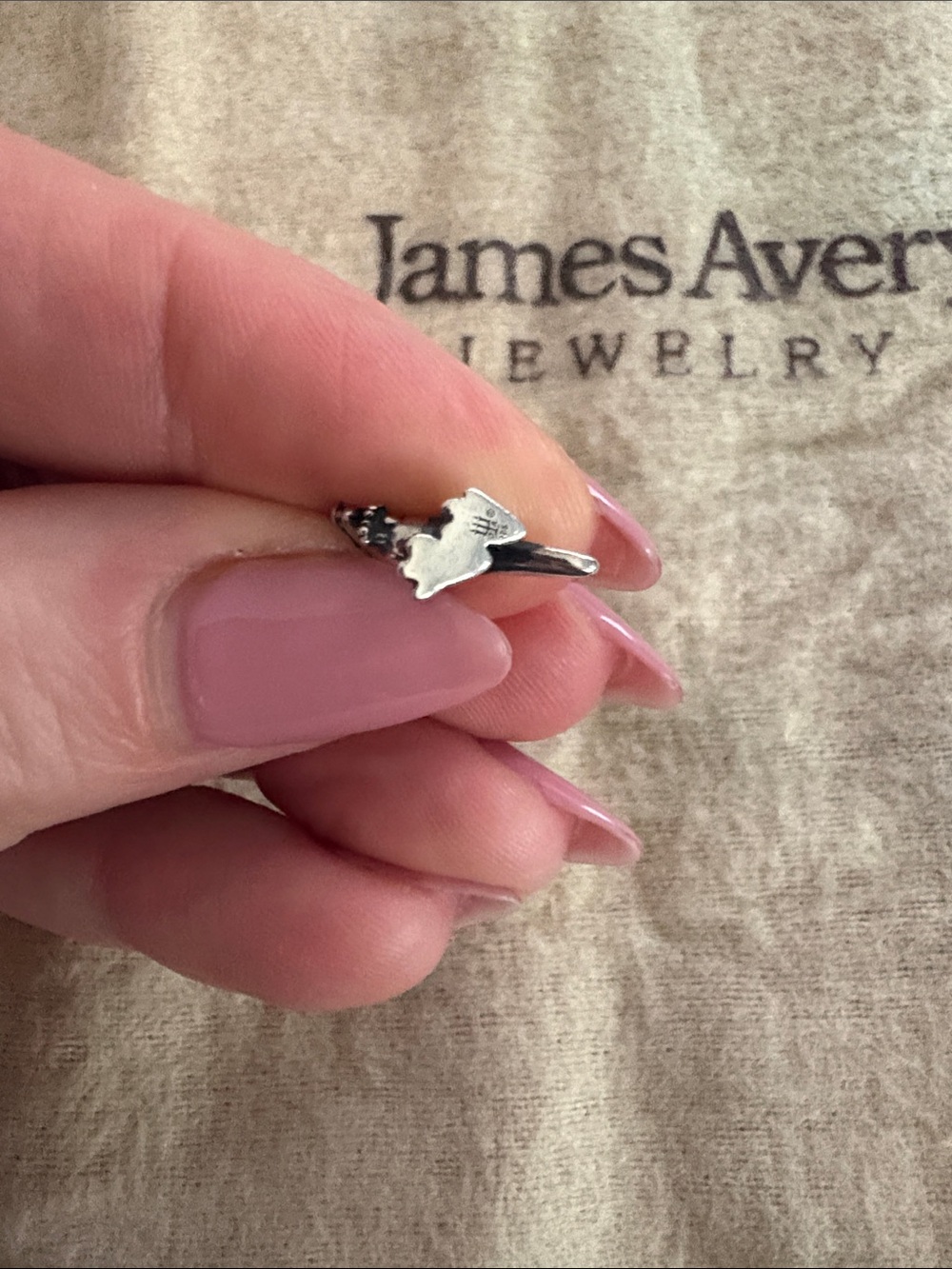 James Avery Silver T Rex Charm in Polished Silver - Picture 3 of 3